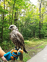 Городской парк культуры и отдыха. 22 августа 2025 (пт).