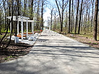 Городской парк культуры и отдыха. 25 апреля 2024 (чт).