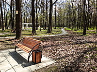 Городской парк культуры и отдыха. 25 апреля 2024 (чт).