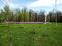 Городской парк культуры и отдыха. 25 апреля 2024 (чт).