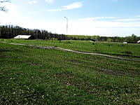 Городской парк культуры и отдыха. 25 апреля 2024 (чт).