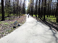 Городской парк культуры и отдыха. 25 апреля 2024 (чт).