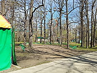 Городской парк культуры и отдыха. 25 апреля 2024 (чт).