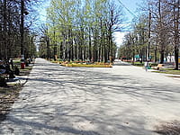 Городской парк культуры и отдыха. 25 апреля 2024 (чт).