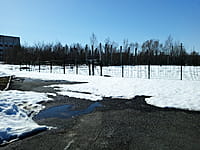 Административная территория. 30 марта 2026 (пн).