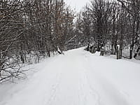 Пешеходный мост через ручей. 19 января 2022 (ср).