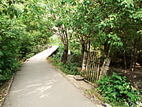 Пешеходный мост через ручей. 01 сентября 2022 (чт).