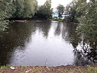 Пруд. 25 августа 2025 (пн).