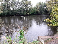 Пруд. 25 августа 2025 (пн).