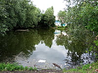 Пруд. 18 июля 2026 (сб).