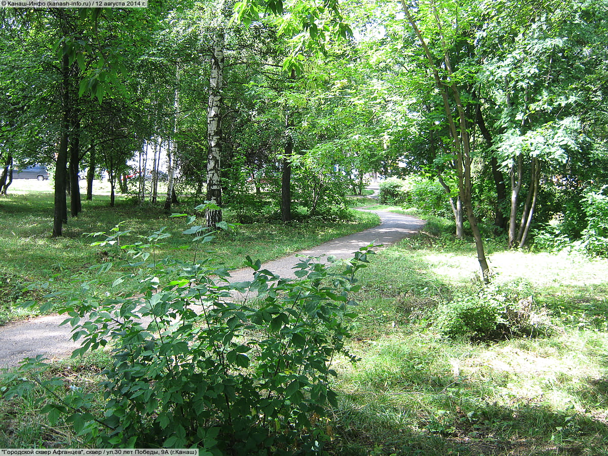 Городской сквер Афганцев. 12 августа 2014 (вт).