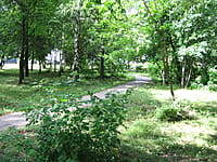 Городской сквер Афганцев. 12 августа 2014 (вт).