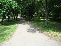 Городской сквер Афганцев. 12 августа 2014 (вт).