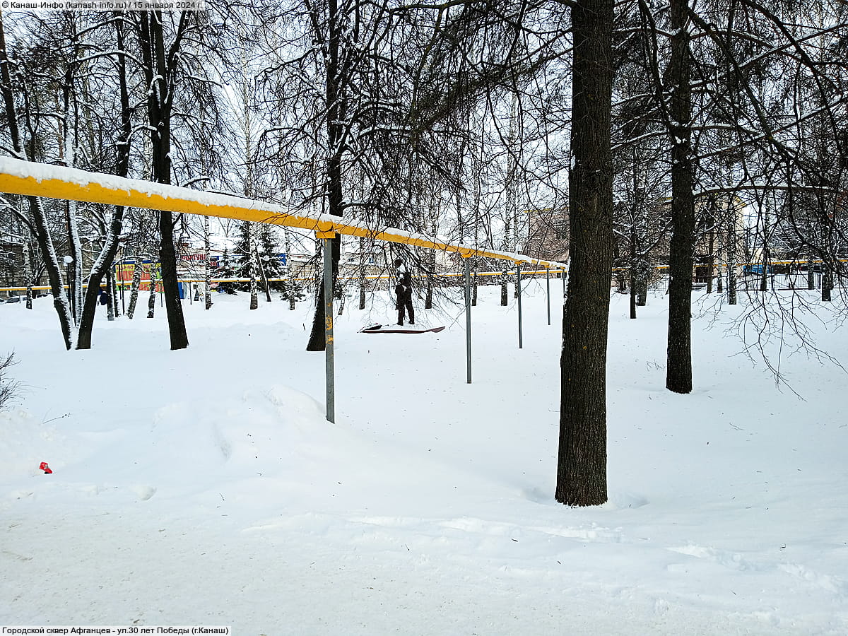 Городской сквер Афганцев. 15 января 2024 (пн).