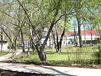 Городской сквер Афганцев. 08 мая 2015 (пт).