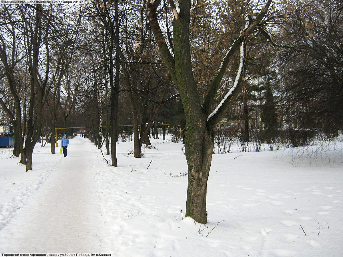 Городской сквер Афганцев. 25 декабря 2013 (ср).
