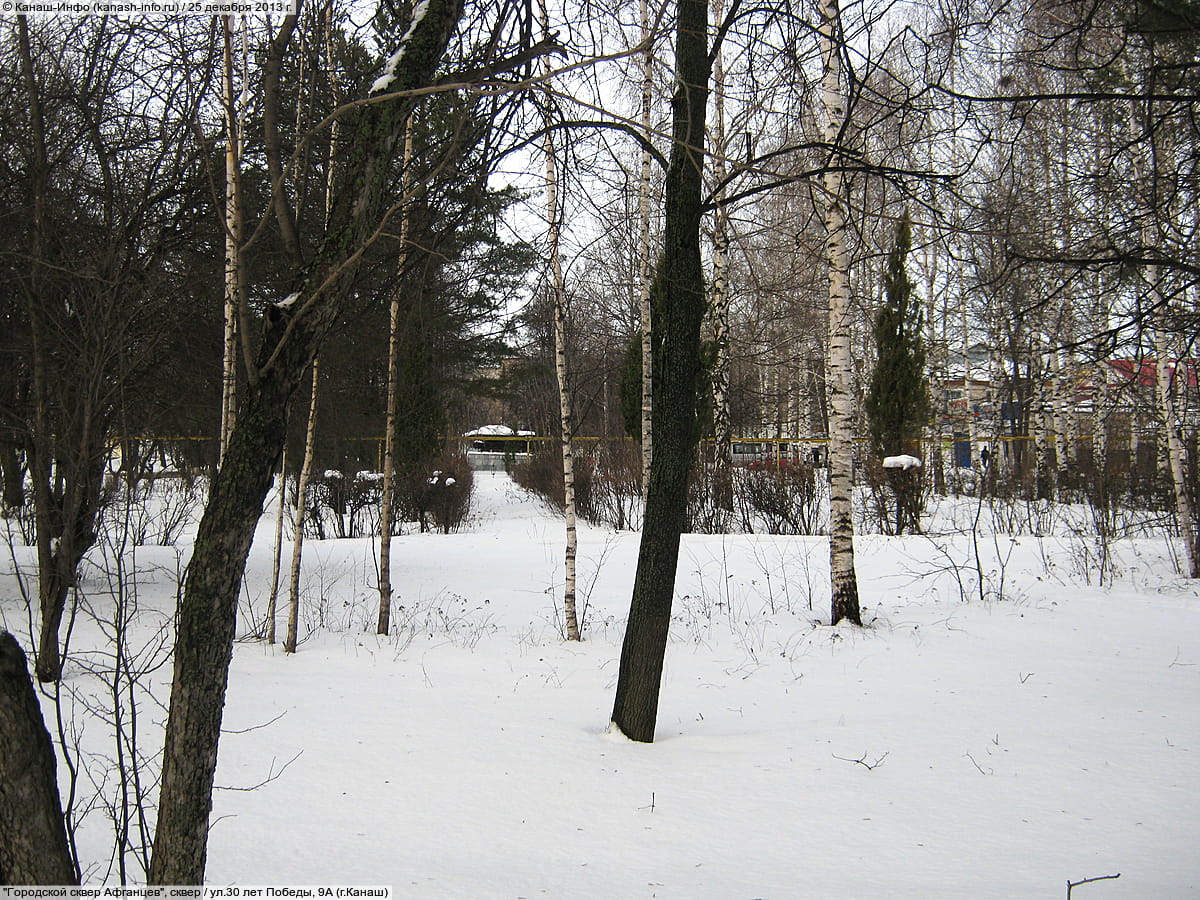 Городской сквер Афганцев. 25 декабря 2013 (ср).