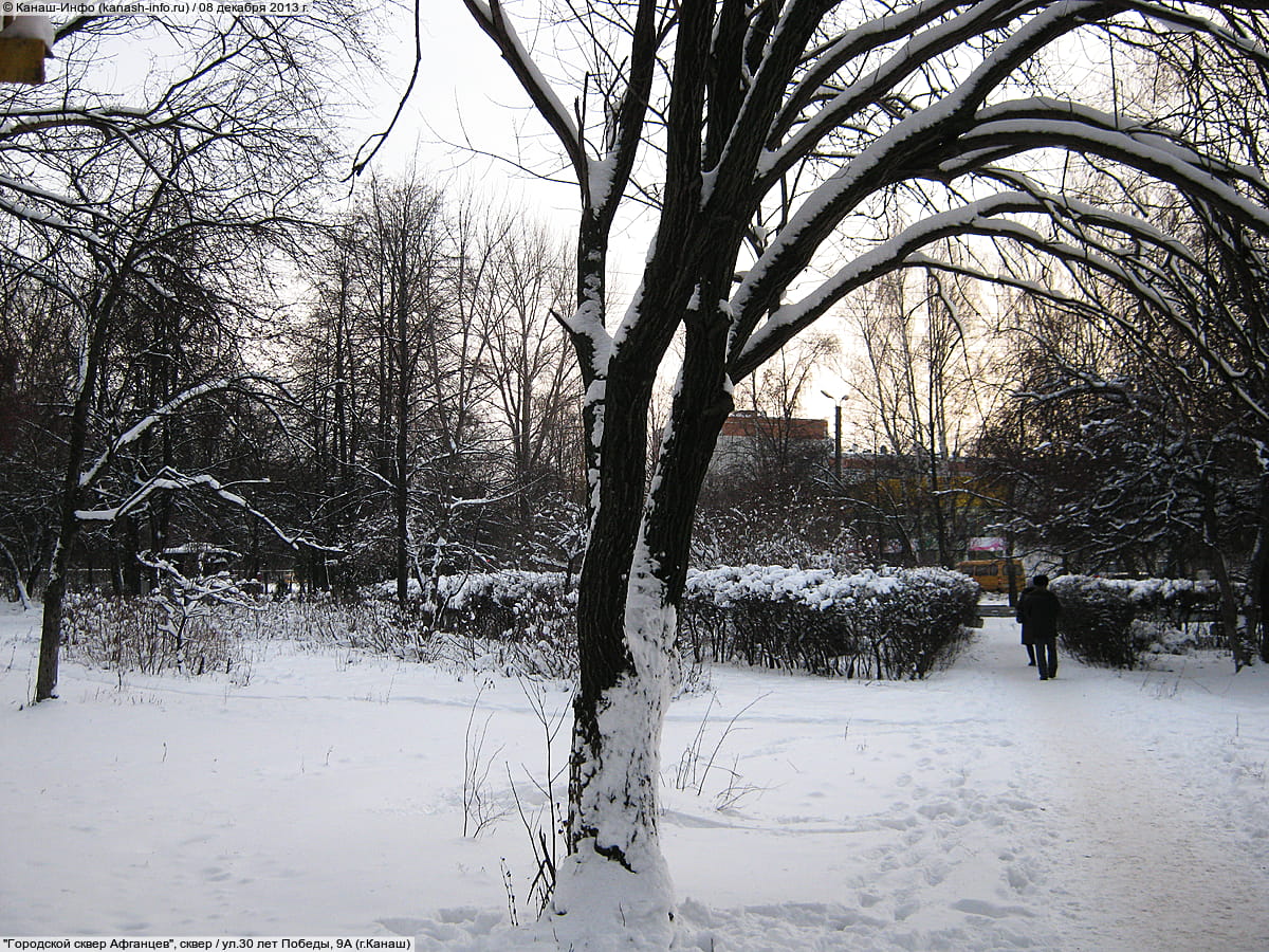 Городской сквер Афганцев. 08 декабря 2013 (вс).
