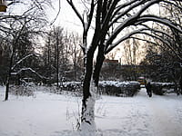 Городской сквер Афганцев. 08 декабря 2013 (вс).