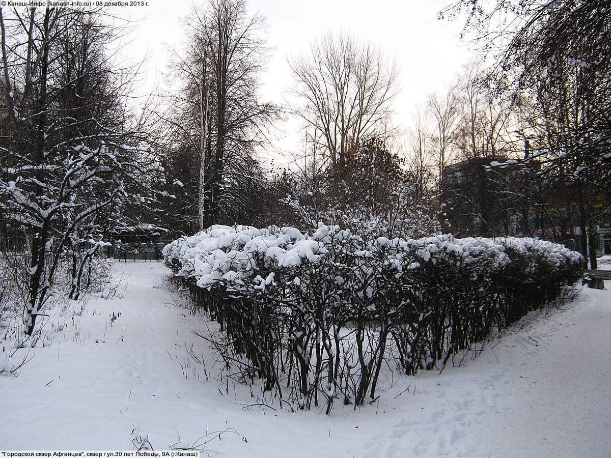 Городской сквер Афганцев. 08 декабря 2013 (вс).