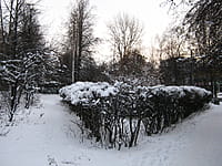 Городской сквер Афганцев. 08 декабря 2013 (вс).