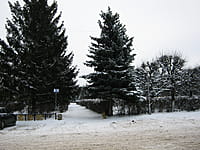 Сквер имени В.И.Ленина. 08 декабря 2013 (вс).