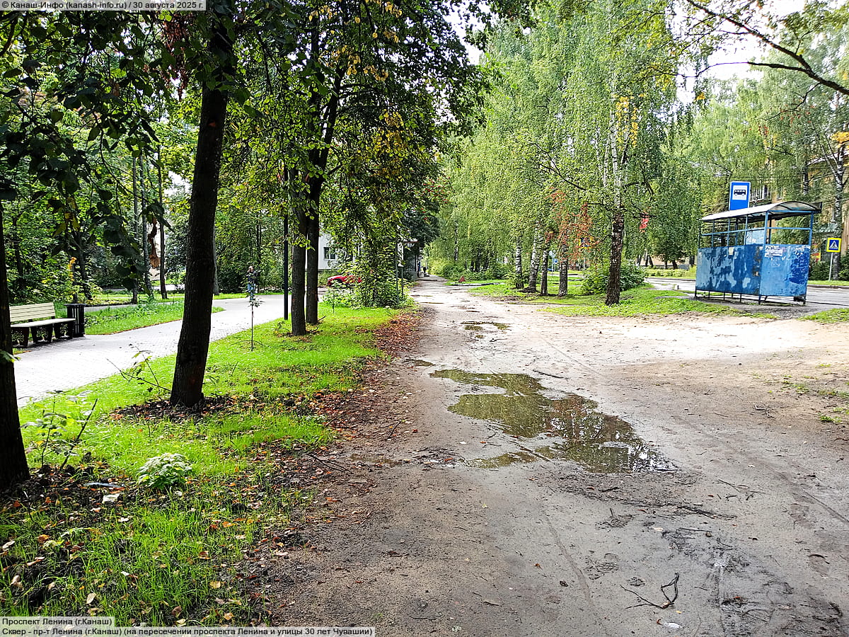 Сквер. 30 августа 2025 (сб).