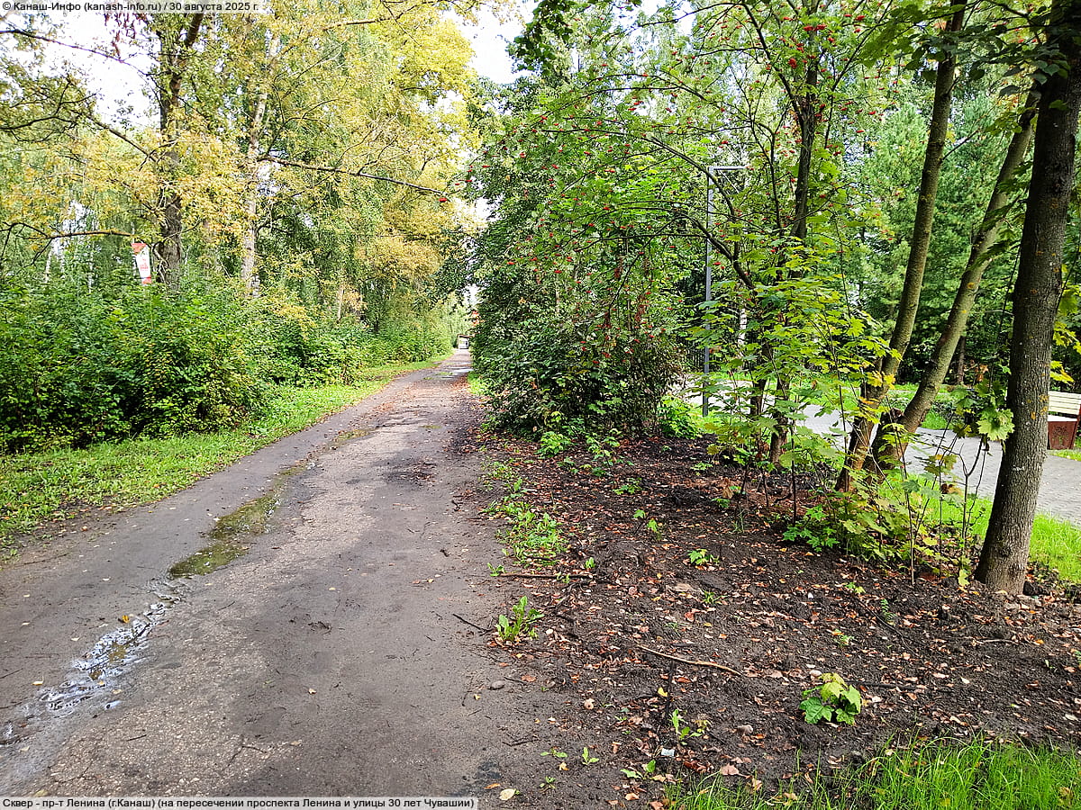 Сквер имени Линара Ибрагимовича Калимуллина. 30 августа 2025 (сб).