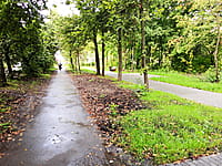 Сквер имени Линара Ибрагимовича Калимуллина. 30 августа 2025 (сб).