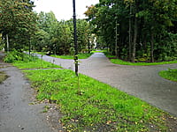 Сквер. 30 августа 2025 (сб).