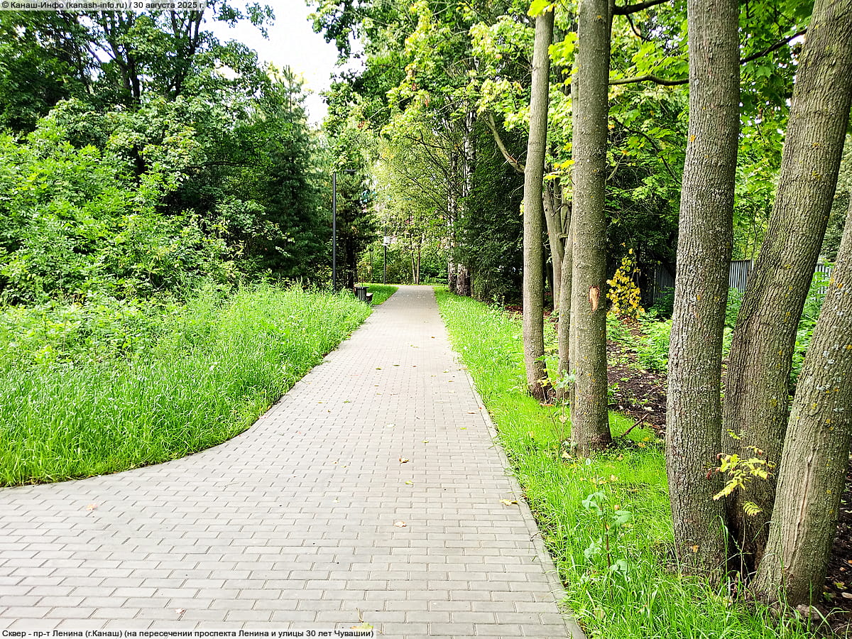 Сквер имени Линара Ибрагимовича Калимуллина. 30 августа 2025 (сб).