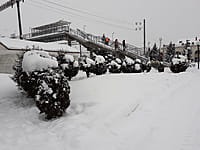 Сквер у железнодорожного вокзала. 19 января 2022 (ср).