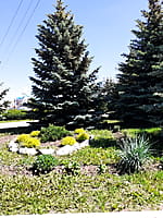 Сквер у железнодорожного вокзала. 14 июня 2022 (вт).