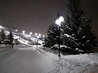 Сквер у железнодорожного вокзала. 18 января 2022 (вт).