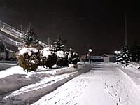 Сквер у железнодорожного вокзала. 18 января 2022 (вт).