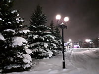 Сквер у железнодорожного вокзала. 18 января 2022 (вт).