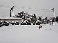 Сквер у железнодорожного вокзала. 19 января 2022 (ср).