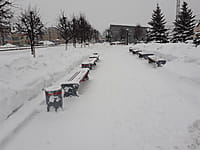 Сквер у железнодорожного вокзала. 19 января 2022 (ср).