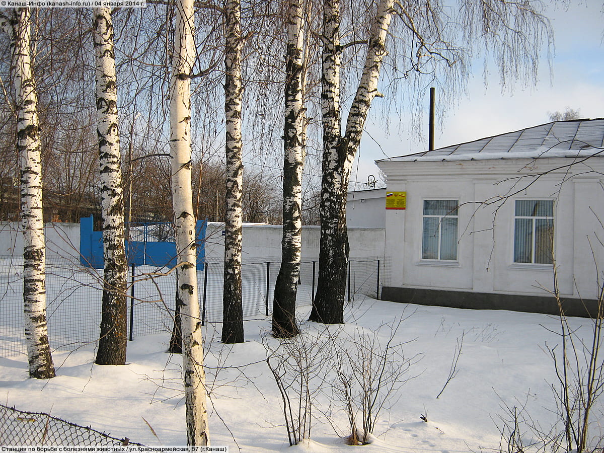 Станция по борьбе с болезнями животных. 04 января 2014 (сб).