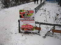 "Вкус изобилия", магазин. 18 ноября 2015 (ср).