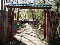 "Вкусняшка", кафе. 25 апреля 2024 (чт).