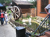 "Вкусняшка", кафе. 08 августа 2015 (сб).