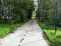 Хозяйственная постройка. 30 августа 2025 (сб).