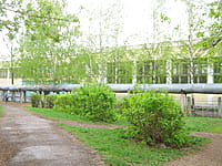 Средняя школа №6. 14 мая 2015 (чт).