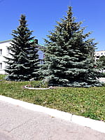 Административно-бытовое здание. 14 июня 2022 (вт).