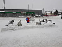 Зона с особыми условиями использования территорий. 18 января 2022 (вт).