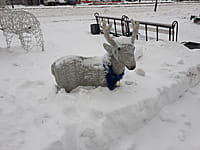 Зона с особыми условиями использования территорий. 18 января 2022 (вт).