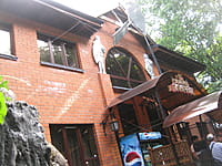 "Золотой ковчег", кафе. 08 августа 2015 (сб).